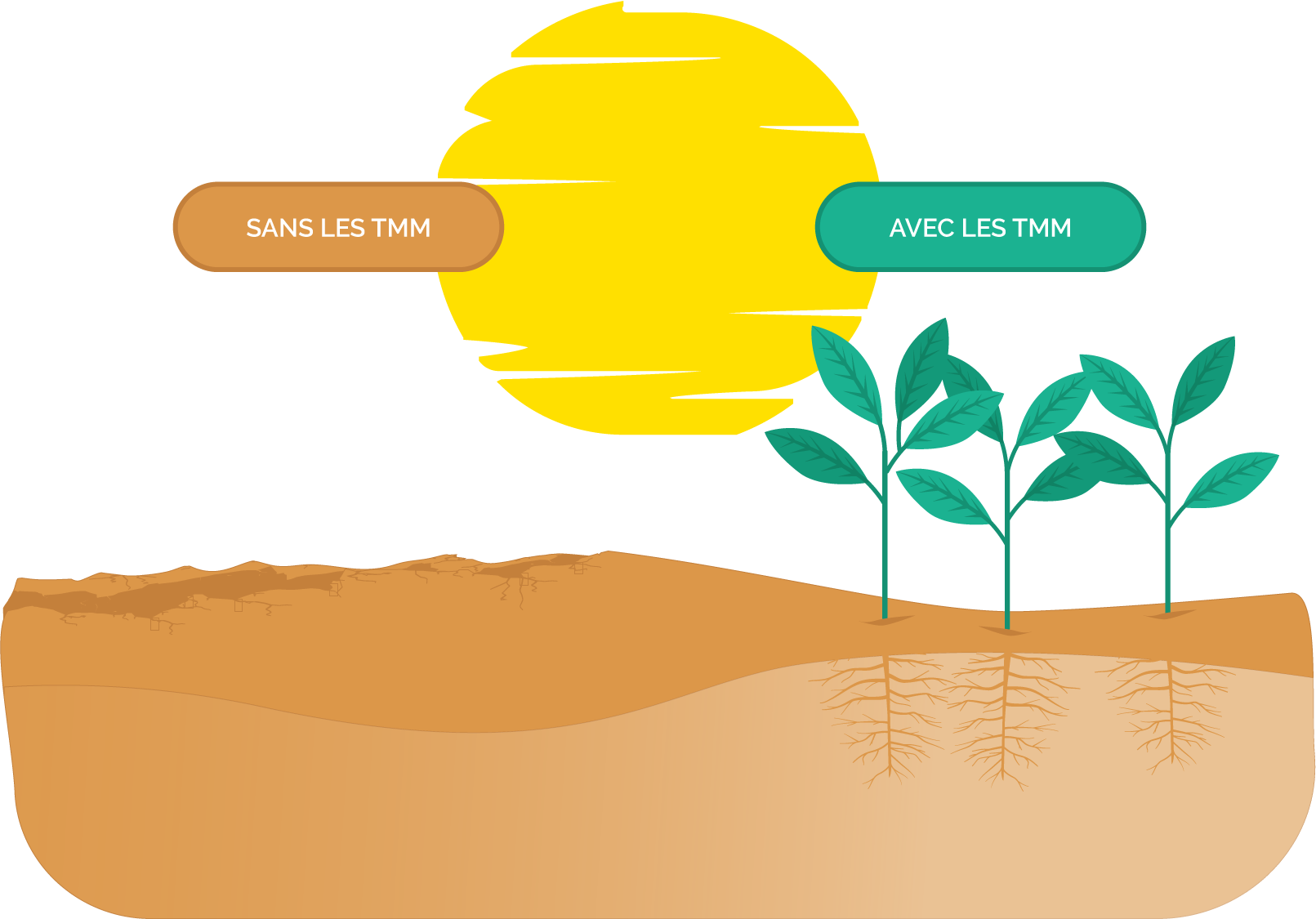 Mezamonde Distributeur Mondial Des Technologies Marcel Mezy Un Procede De Fertilisation Utilise Aujourd Hui Par Des Milliers D Agriculteurs