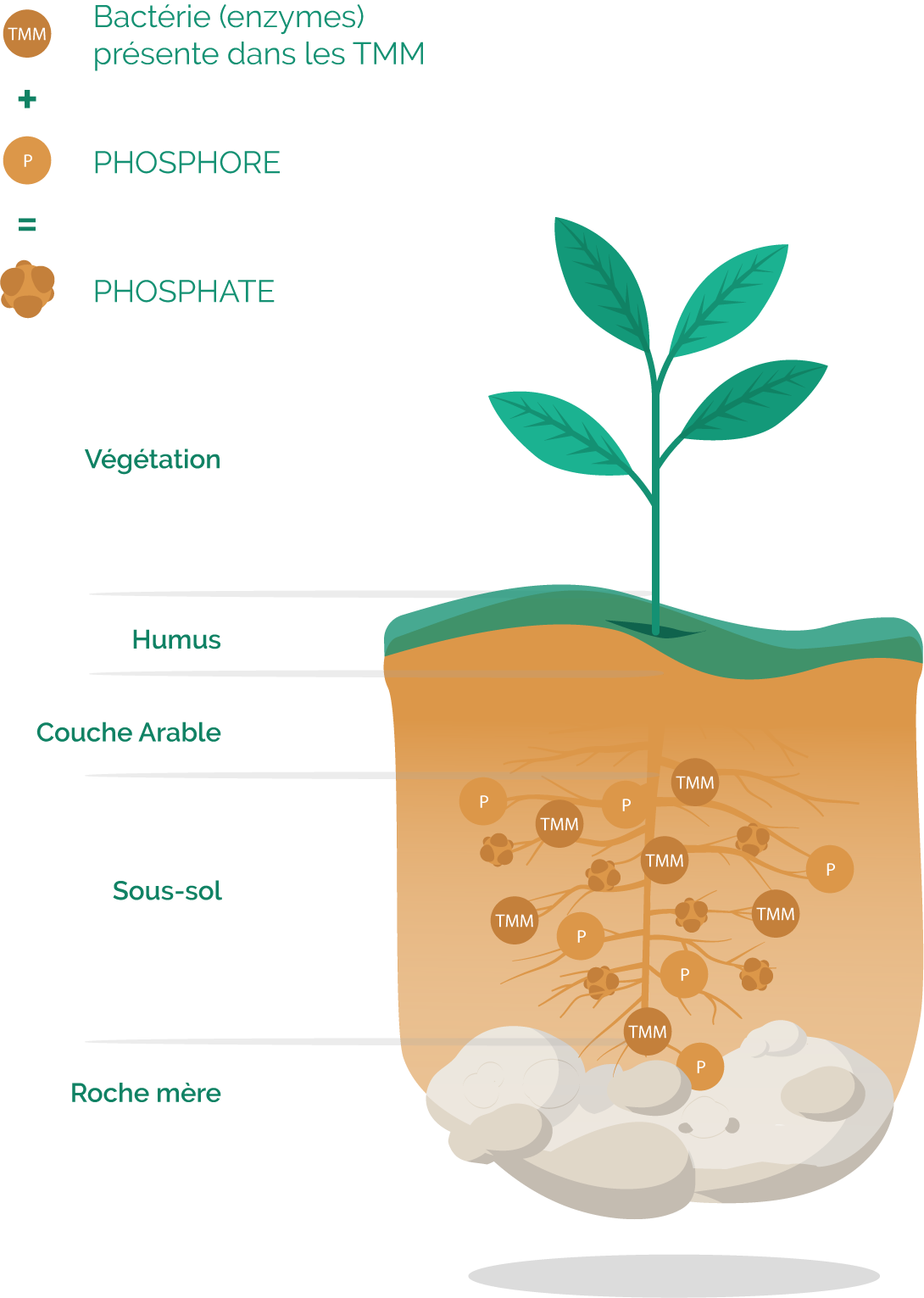 Mezamonde Distributeur Mondial Des Technologies Marcel Mezy Un Procede De Fertilisation Utilise Aujourd Hui Par Des Milliers D Agriculteurs
