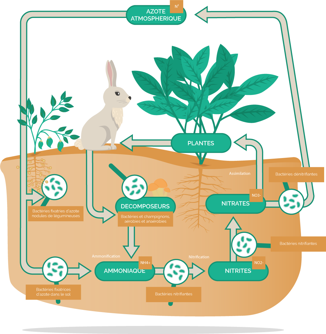 Mezamonde Distributeur Mondial Des Technologies Marcel Mezy Un Procede De Fertilisation Utilise Aujourd Hui Par Des Milliers D Agriculteurs