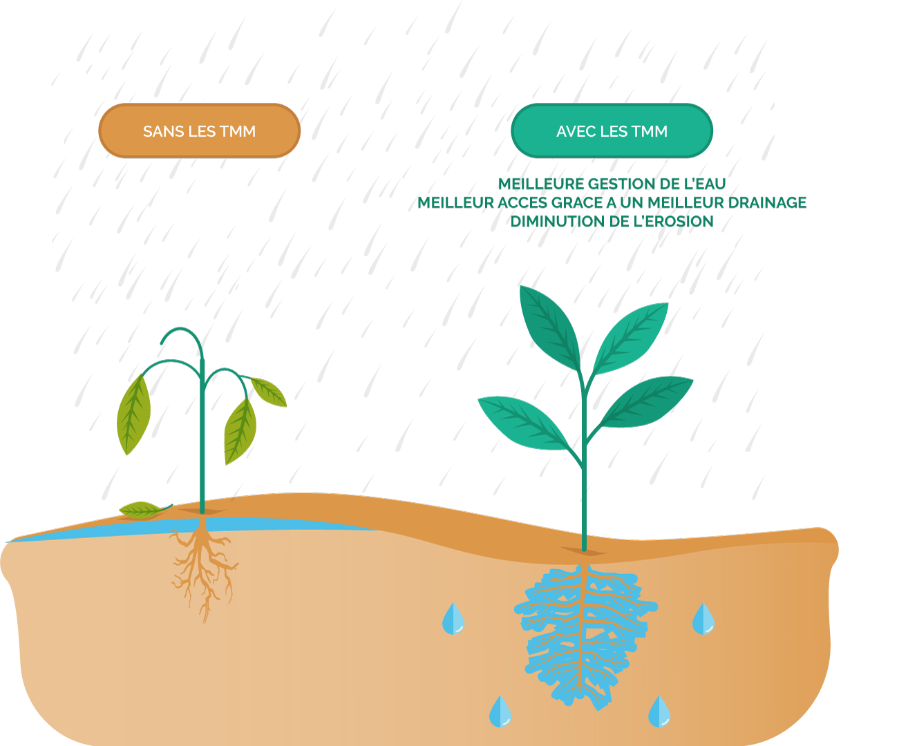 Mezamonde Distributeur Mondial Des Technologies Marcel Mezy Un Procede De Fertilisation Utilise Aujourd Hui Par Des Milliers D Agriculteurs