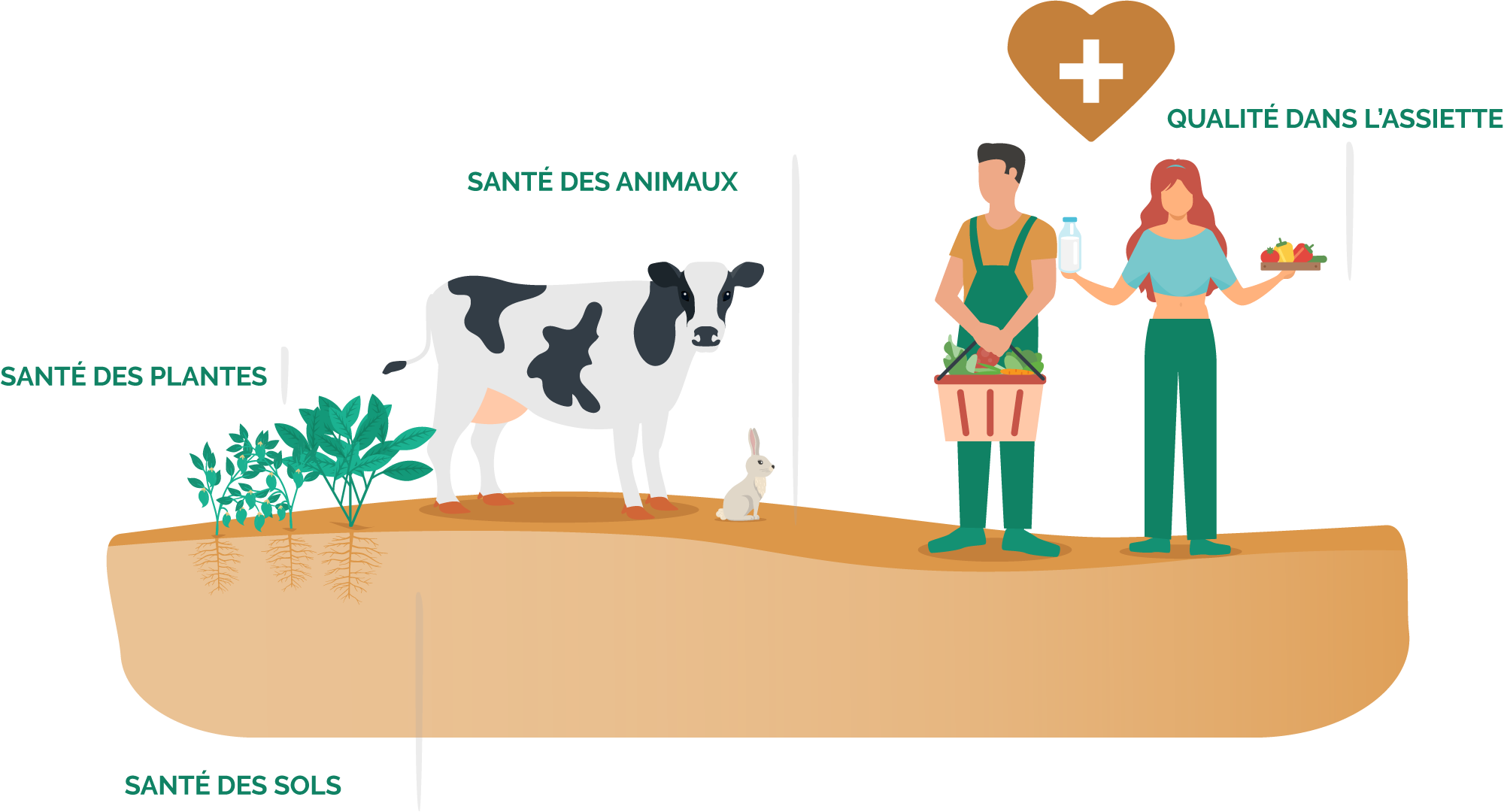 Mezamonde Distributeur Mondial Des Technologies Marcel Mezy Un Procede De Fertilisation Utilise Aujourd Hui Par Des Milliers D Agriculteurs